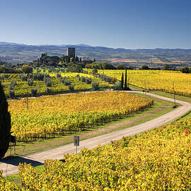 Tuscany, Brunello Wine Road, Italy by Massimo Ripani