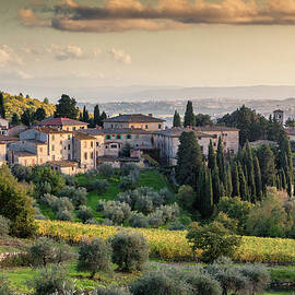 Tuscany, Chianti, Fonterutoli, Italy by Guido Baviera