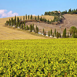 Tuscany, Val Dorcia by Maica