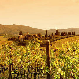 Tuscany Village And Vineyard In Fall At by Lisa-blue