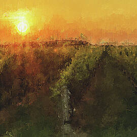 Tuscany vineyards - 17 by AM FineArtPrints