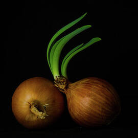 Two Onions by Nancybelle Gonzaga Villarroya
