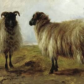 Two Rams In A Landscape by Rosa Bonheur