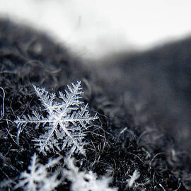 Unique Snowflake by Pen Waggener