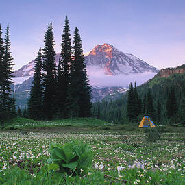 United States, Washington, Mount by Silko Bednarz
