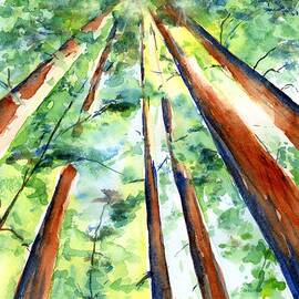 Up through the Redwoods by Carlin Blahnik CarlinArtWatercolor