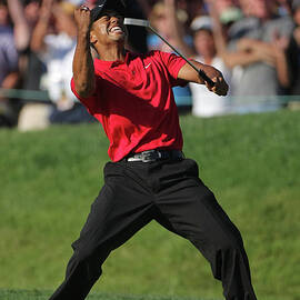 U.s. Open Championship - Final Round by Doug Pensinger