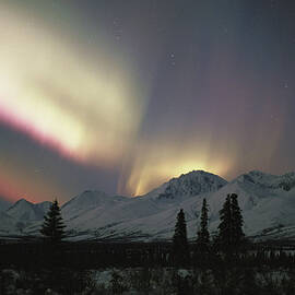 Usa, Alaska, Denali National Park by Johnny Johnson