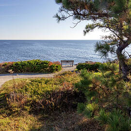 Usa, Maine, Ogunquit, Marginal Way Trail by Claudia Uripos