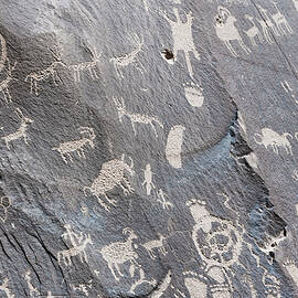 Usa, Utah, Petroglyphs, Newspaper Rock State Historical Monument by Marco Simoni
