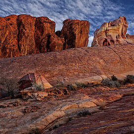 Valley Of Fire Elephant Rock by Susan Candelario