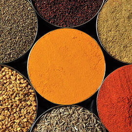 Various Kind Of Spices by Pkg Photography