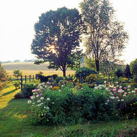 Vegatable + Flower Garden In New Jersey by Richard Felber