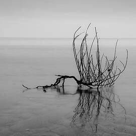 Veneto, Caorle, Beach, Italy by Olimpio Fantuz