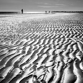 Veneto, Low Tide, Italy by Olimpio Fantuz