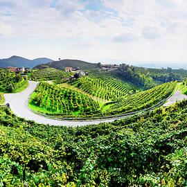 Veneto, Prosecco Road, Italy by Luca Da Ros
