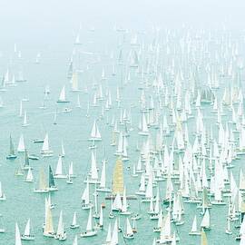 Venice, Trieste, Regatta, Italy by Olimpio Fantuz
