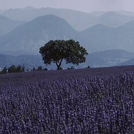 Vercors, France - by Francois Le Diascorn