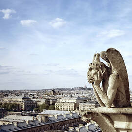 View From The Notre Dame, Paris by Nikada