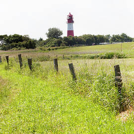 View Of Green Pasture With Falshofter Lighthouse, Schleswig-holstein, Germany by Jalag / Petra Becker