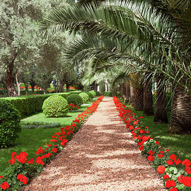 View Of Pebbles Pavement With Flower Plant And Palm Trees At Bahai Garden, Haifa, Israel by Jalag / Walter Schmitz