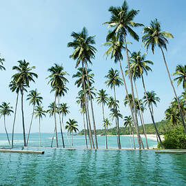 View Of Tangalle, Indian Ocean, Pool And Beach From Amanwella Hotel, Sri Lanka by Jalag / Darshana Borges
