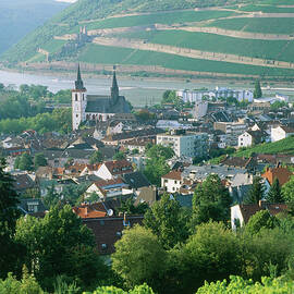 View On Rudesheim, Rheingau, Hesse, Germany by Hendrik Holler