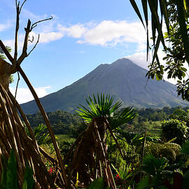 Vulcano Arenal Near Thermal Area Tabacon, Costa Rica by Thomas Stankiewicz