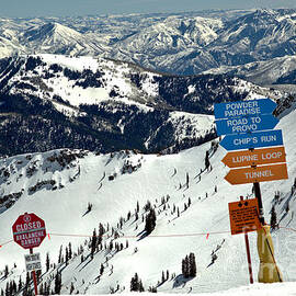Waiting For The Powder Paradise Rope Drop by Adam Jewell