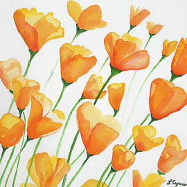 Watercolor  - California Poppies by Cascade Colors