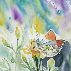 Watercolor - Orange-tip Butterfly with Wildflower by Cascade Colors