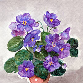 Watercolor Painting Of   African Violet by Mitza