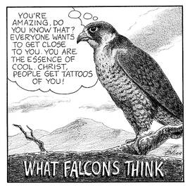 What Falcons Think by Harry Bliss