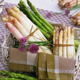 White And Green Asparagus And Chives In Metal Basket by Strauss, Friedrich