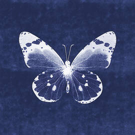 White and Indigo Butterfly 1- Art by Linda Woods by Linda Woods