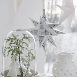 White Christmas Arrangement With Fir Branch Under Glass Cover by Annette Nordstrom