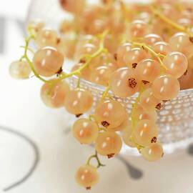 Whitecurrants In A Glass Bowl by Alain Caste