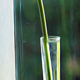 Who Loves You by Joe Schofield