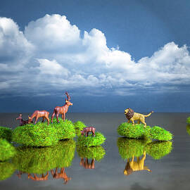 Wild Island by Fotografias De Rodolfo Velasco