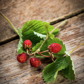 Wild Strawberries With Leaves On A Wooden Background by Dorota Indycka