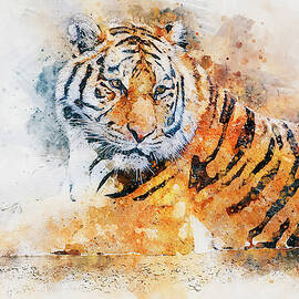 Wild Tiger - 12 by AM FineArtPrints