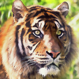 Wild Tiger - 14 by AM FineArtPrints
