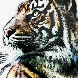 Wild Tiger - 18 by AM FineArtPrints