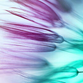 Wildflower Abstract by Jasmina007