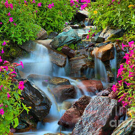 Wildflowers 1 by Adam Jewell