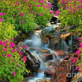 Wildflowers 3 by Adam Jewell