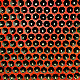 Winery At Virpazar, Montenegro by Stipe Surac