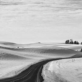 Winter Country Road 2 BW by Tatiana Travelways