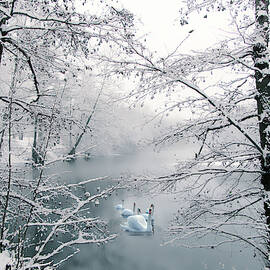 Winter Journey by Jessica Jenney