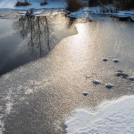 Winter Landscape at Whitesbog by Louis Dallara